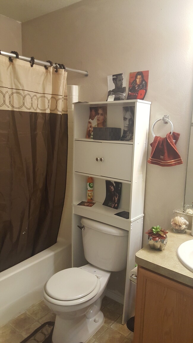 Master Bathroom - Modern – Stylish-tile Floor Master Bed Room. Master bath with separate shower and a beautiful tub with jets, Tile in the home, wood blinds throughout, crown molding. - 23619 Twisting Falls Drive