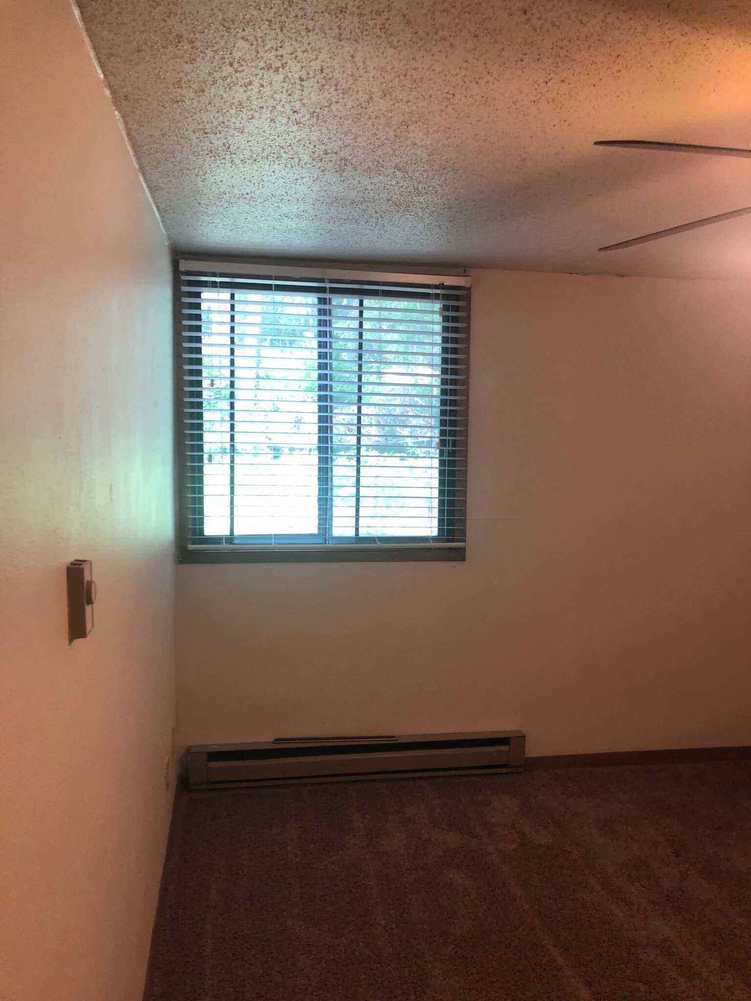 Building Photo - 906 Benton Dr