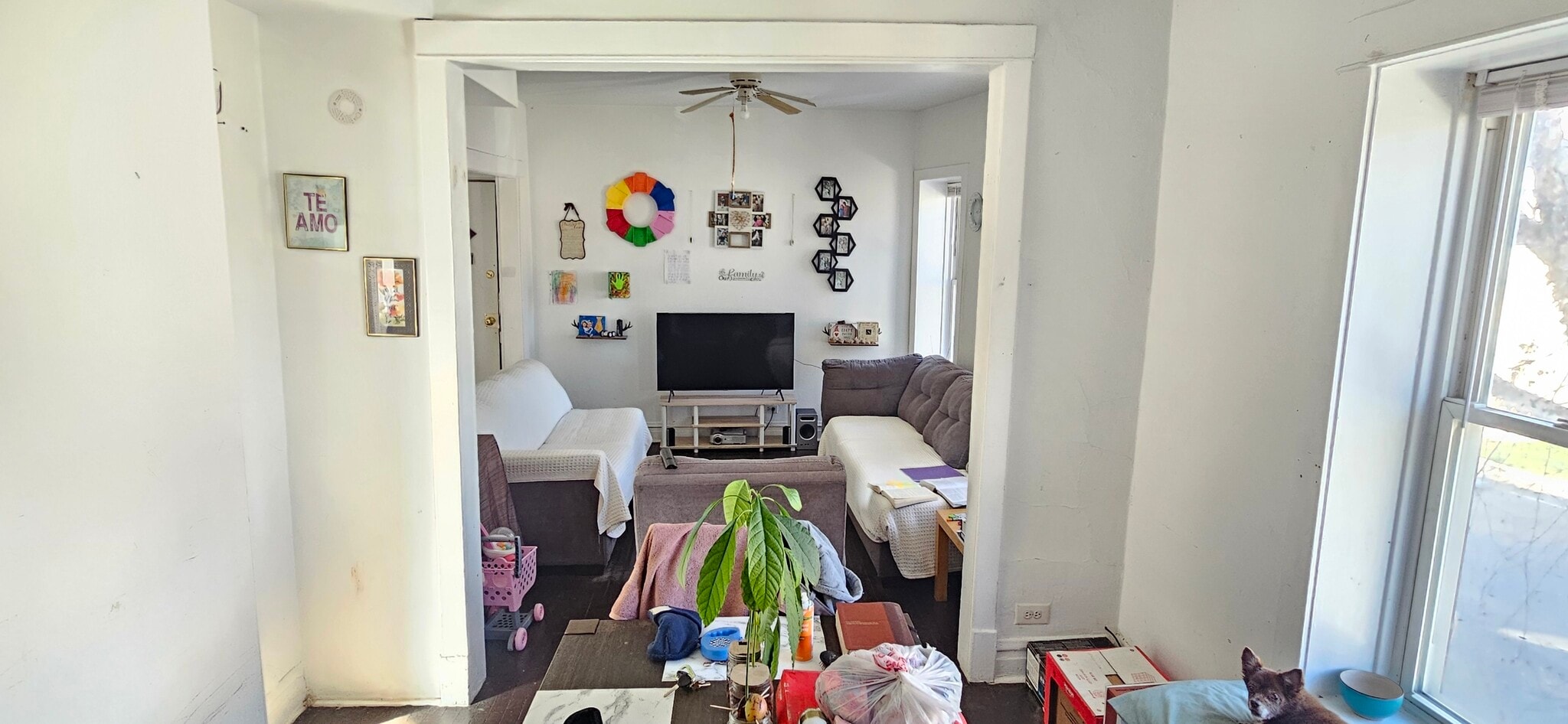 Building Photo - 3858 N St Louis Ave