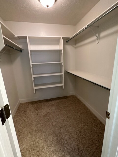 Building Photo - 587 S Wyngate Pointe Ln