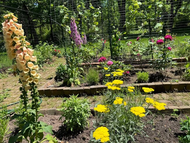 Building Photo - 1357 Canal Rd