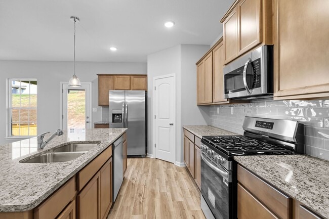 Building Photo - Brand-New 4 Bedroom Home in Beautiful Mary...