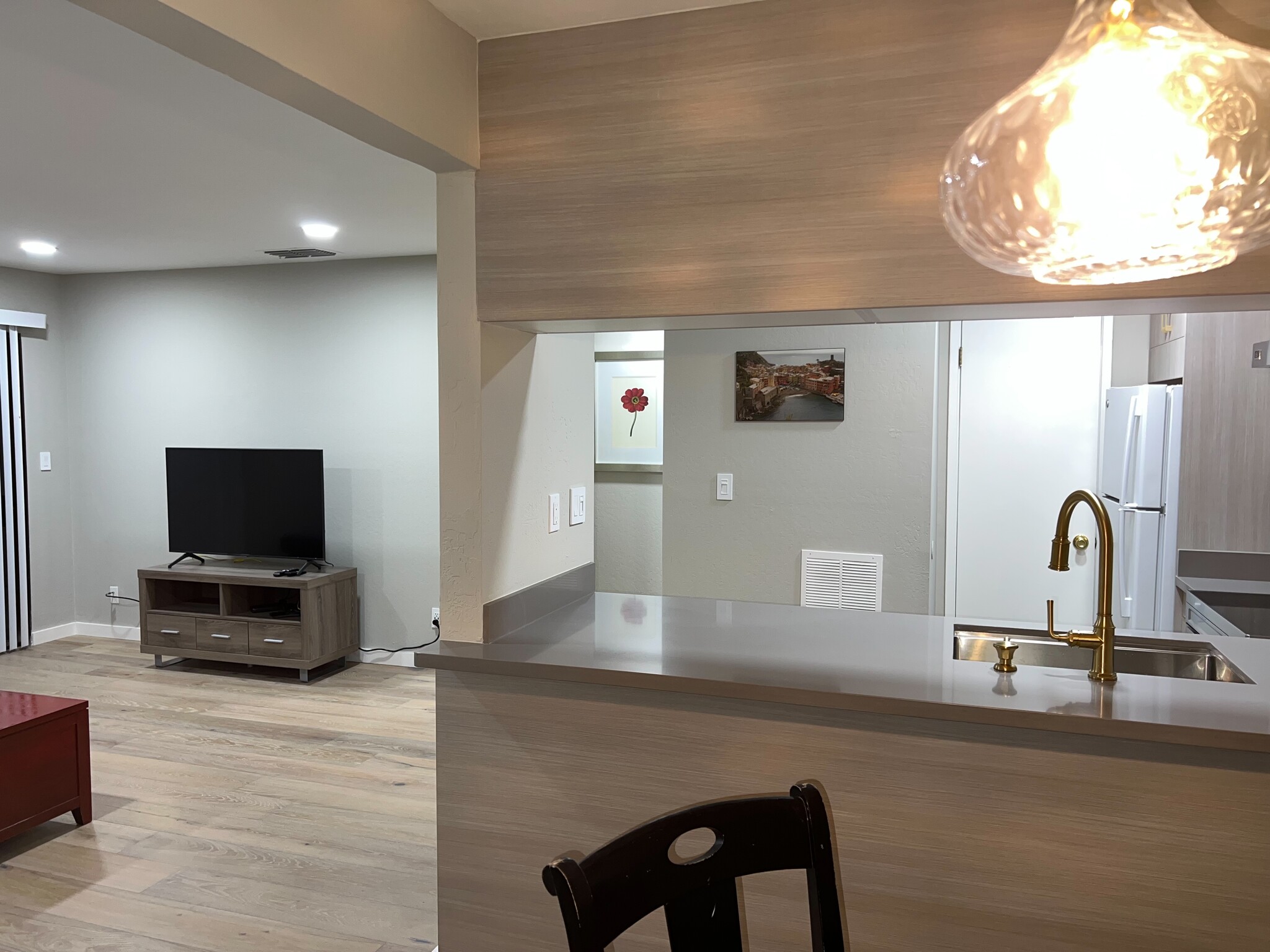 Dining Room - LR, Kitchen - 1177 Honey Trl