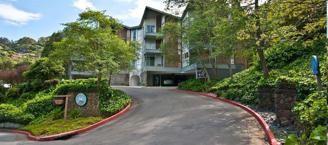 Building Photo - Sausalito Towers