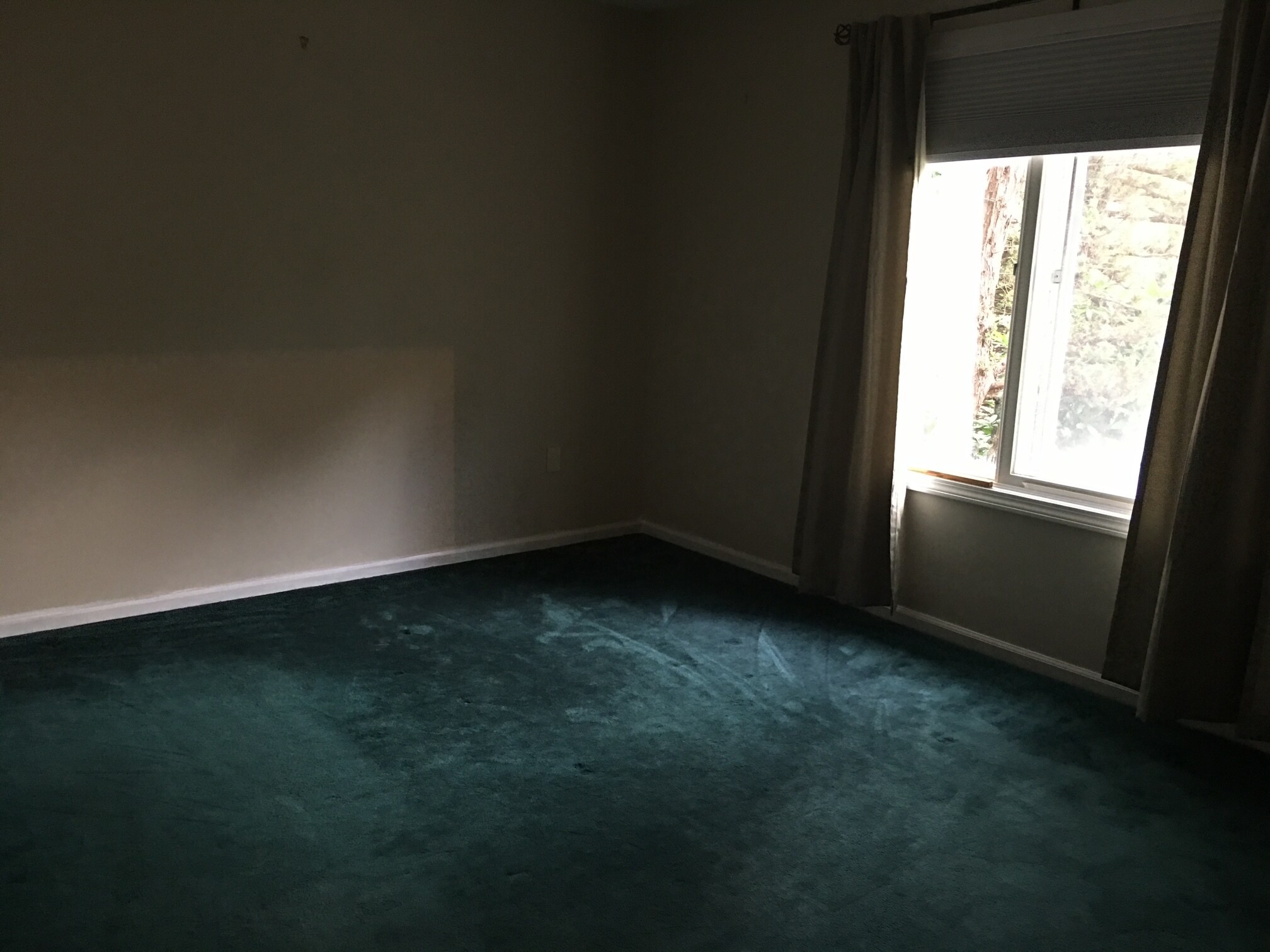 Primary bedroom with walk-in closet - 2514 Boston Post Rd