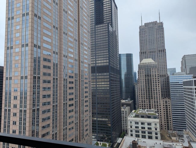 Building Photo - Incredible High Floor 1b1b in Chicago Down...