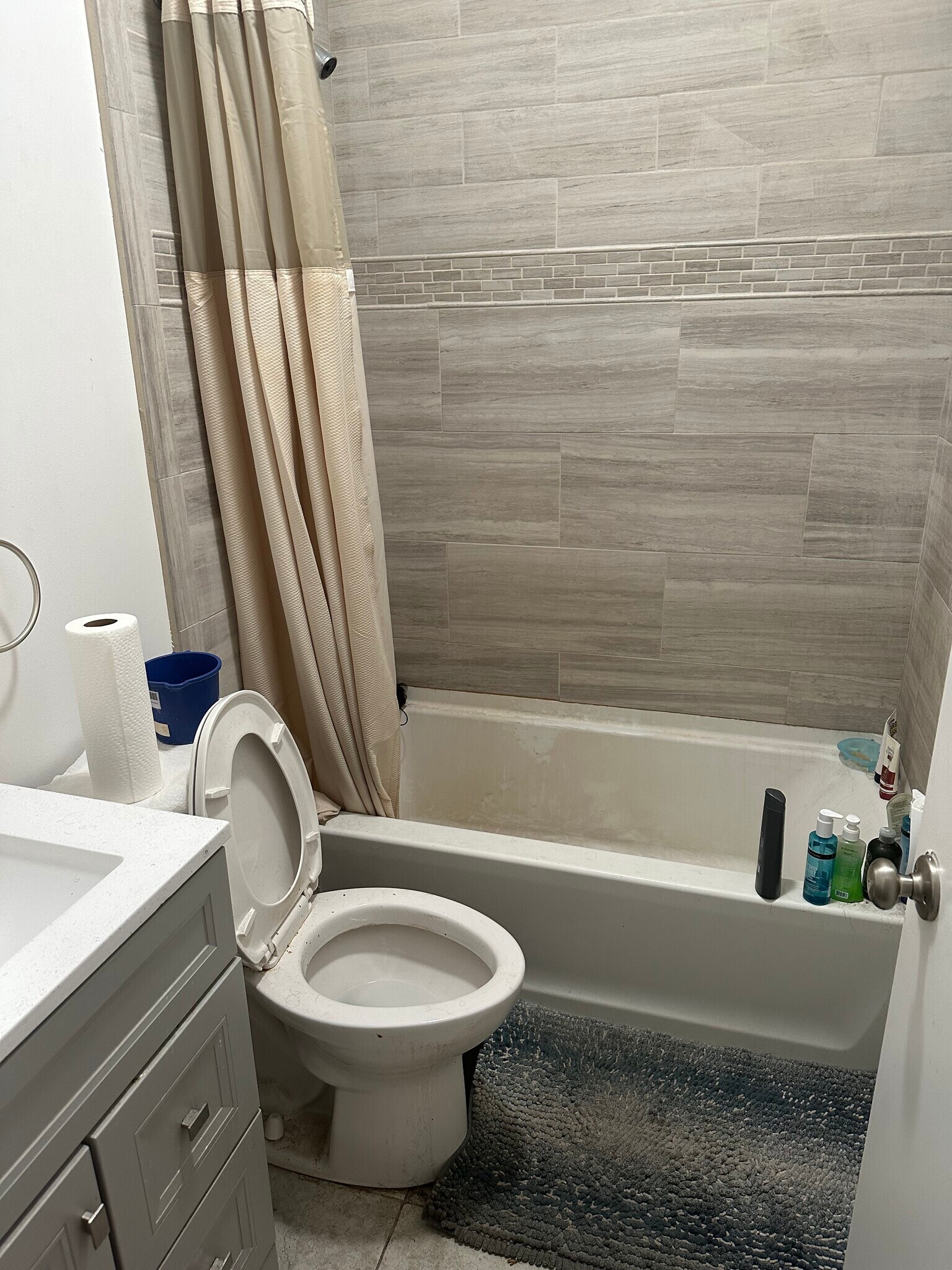 front bathroom - 825 S Laflin St