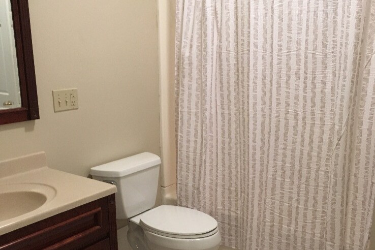 Master Bathroom - 206 Adams St