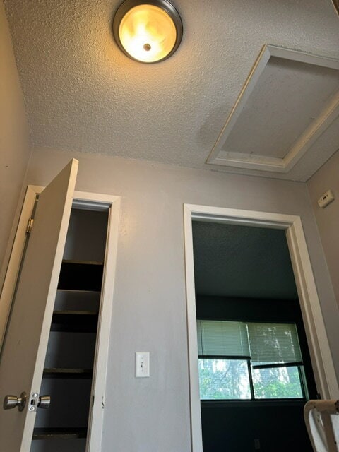 Building Photo - "Charming 2-Bed Multiplex in Davenport wit...