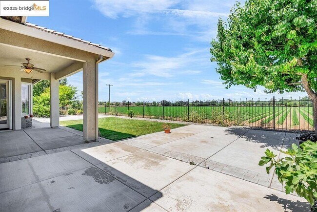 Building Photo - 909 Suntan Ln