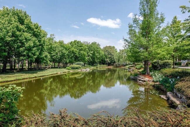 Building Photo - 1043 Calico St