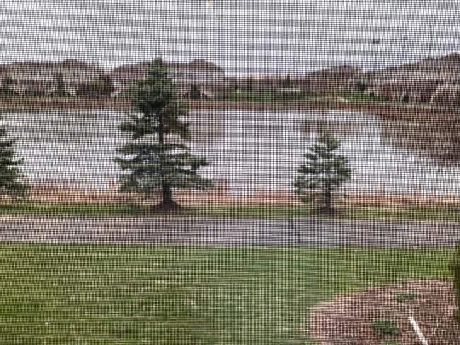 Building Photo - 2755 Blakely Ln