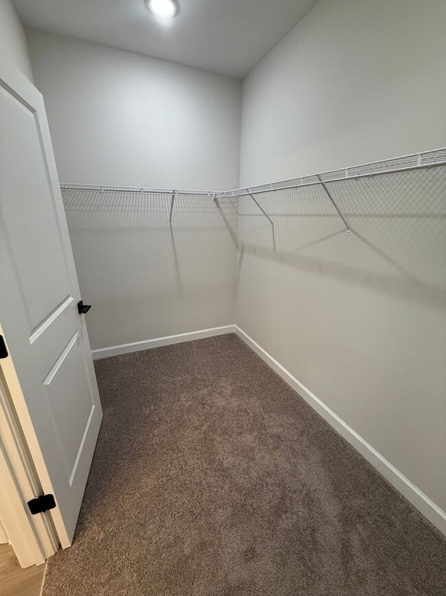 Building Photo - BRAND NEW TOWNHOMES AVALIABLE NOW