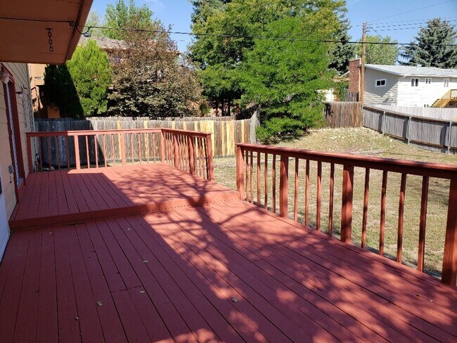 Building Photo - Very nice 4 bedroom, 3 bath home near Palmer Park