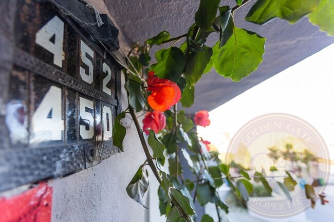 Building Photo - Collingwood Street - 450-452