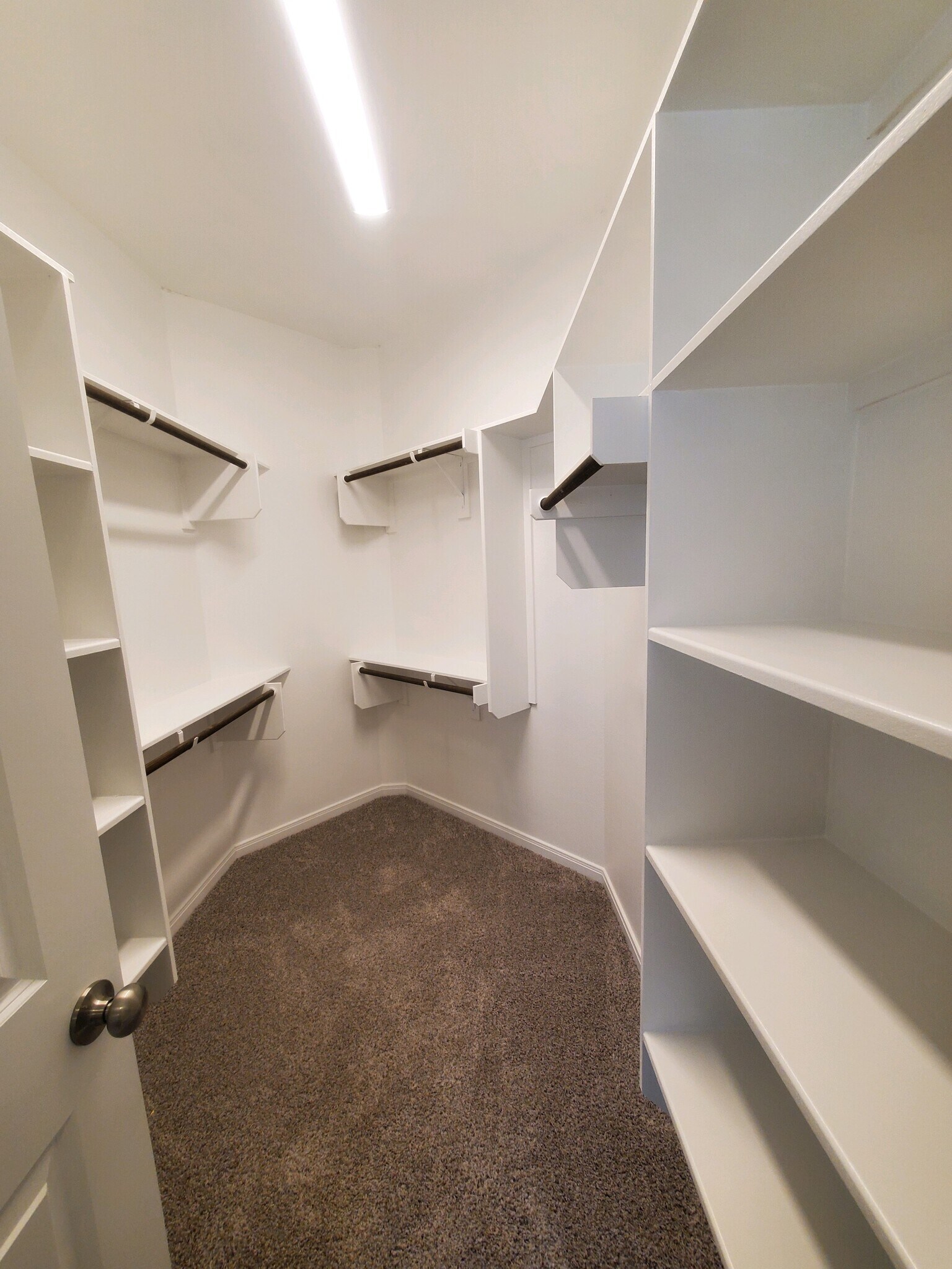 Building Photo - 1308 Kingsgate Dr
