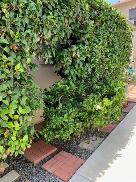 Landscaping - 1517 Pontius Ave