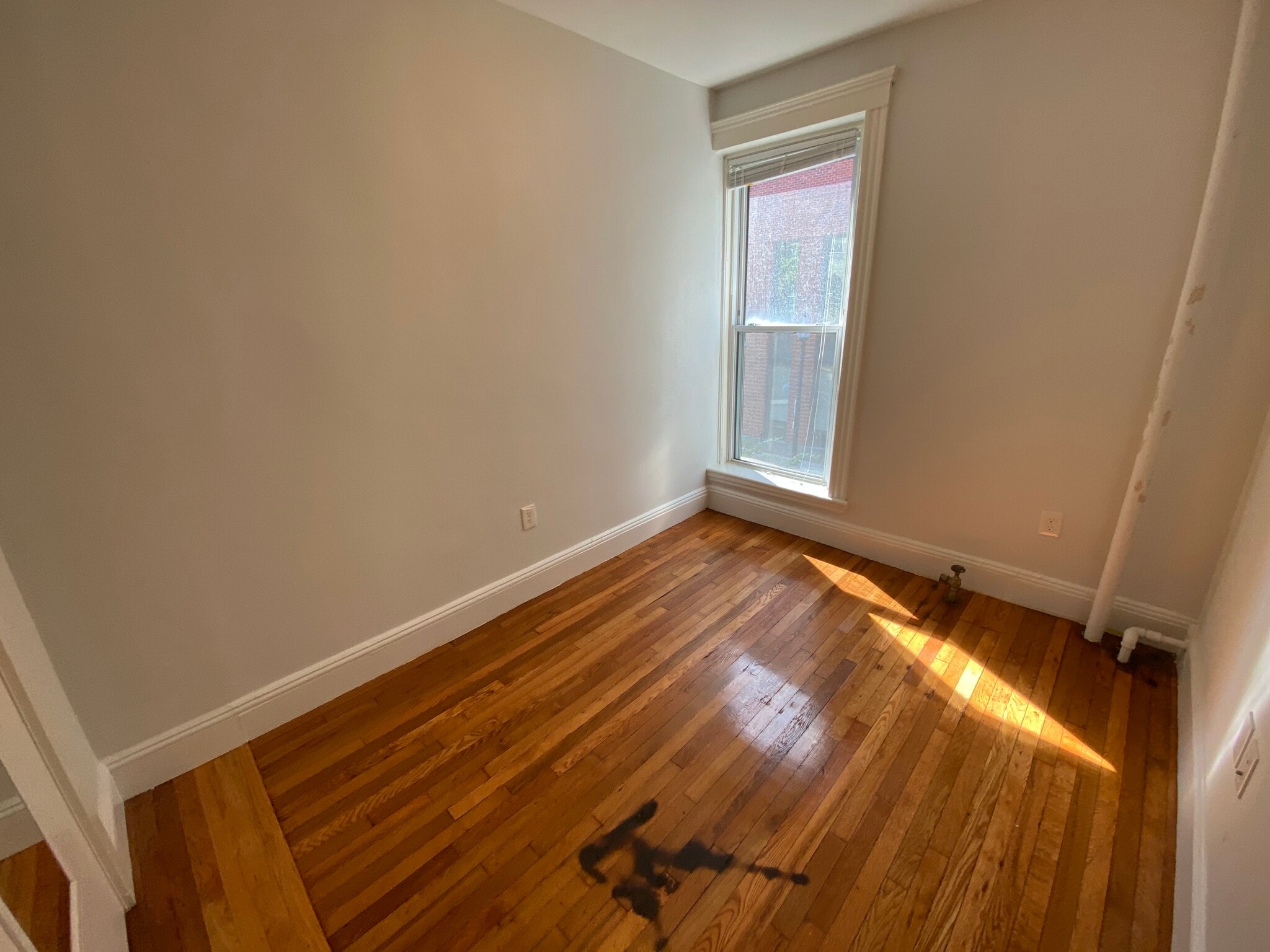 Building Photo - 29 Worthington St