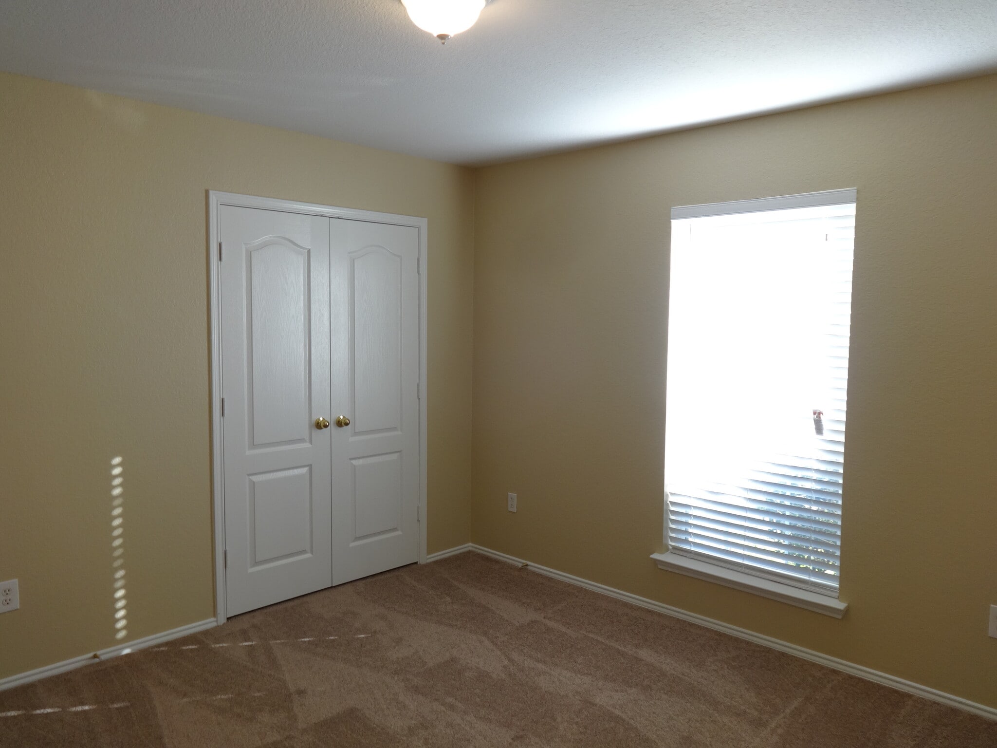 Building Photo - 1205 Rio Bravo Dr