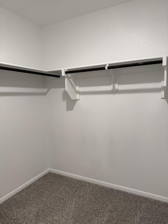 Building Photo - 421 Blanco Dr