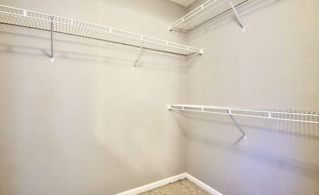 Building Photo - COMING SOON! Beautiful 3BR/2BA Home with Bonus Room in Sought-After Arbor Creek, Charlotte