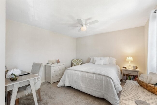 Building Photo - 320 Newbury St