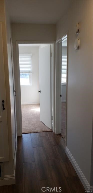 Building Photo - 8112 San Mateo Cir