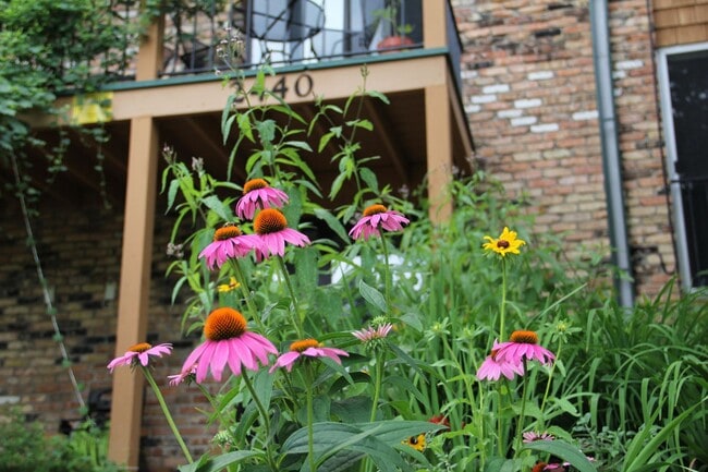 Building Photo - Harriet Apartments near the Wedge Coop