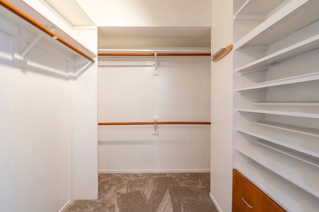 Building Photo - Warm & Inviting Manhattan Beach Rental Home!