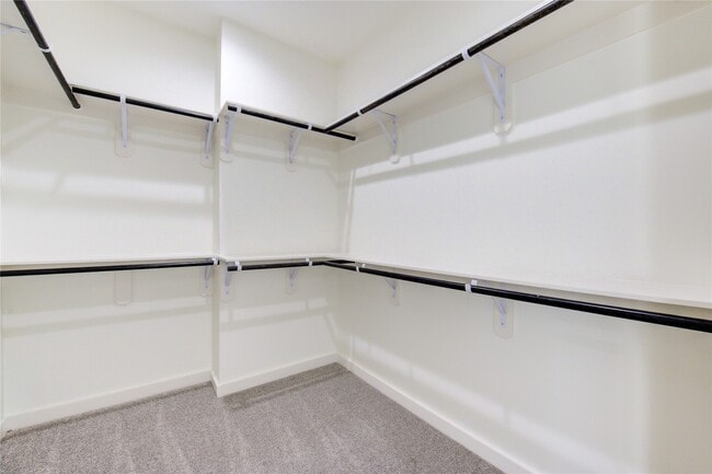 Building Photo - 2931 El Fenice Ln