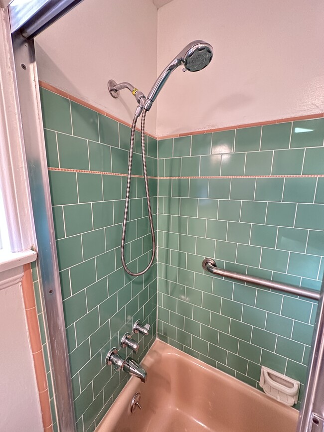 Shower - 306 N Screenland Dr