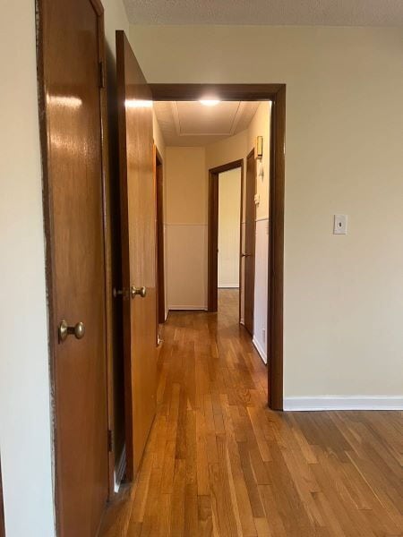 Building Photo - Hollywood Hills Subdivision Mid-Mod Ranch Available Now!