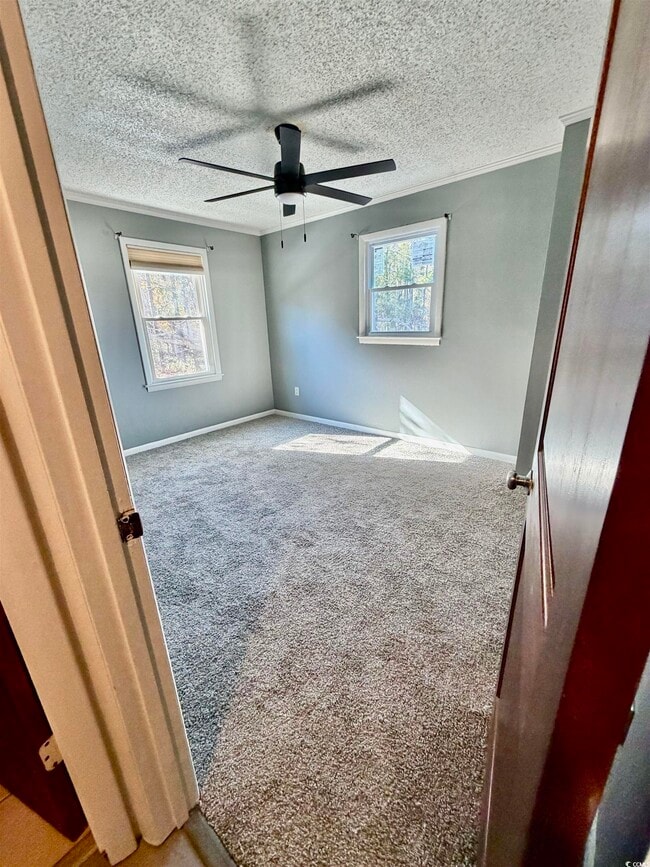 Building Photo - 4115 Little River Rd