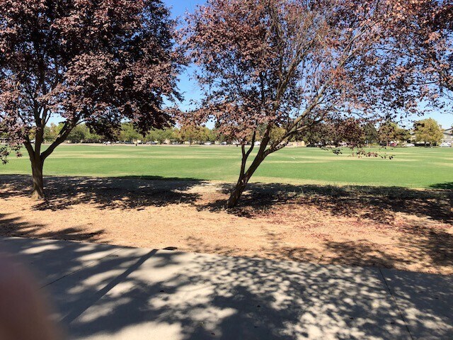 Building Photo - Updated 2 bedroom 1 bath condo in a quiet park like setting with a community pool
