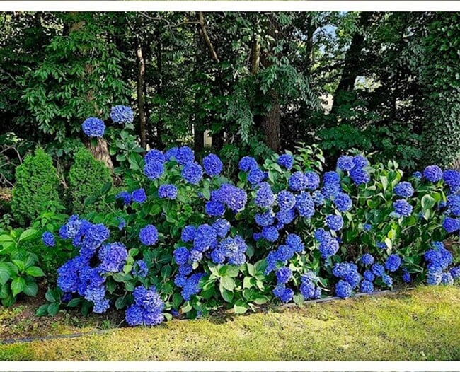 Building Photo - 15858 Lake Ave