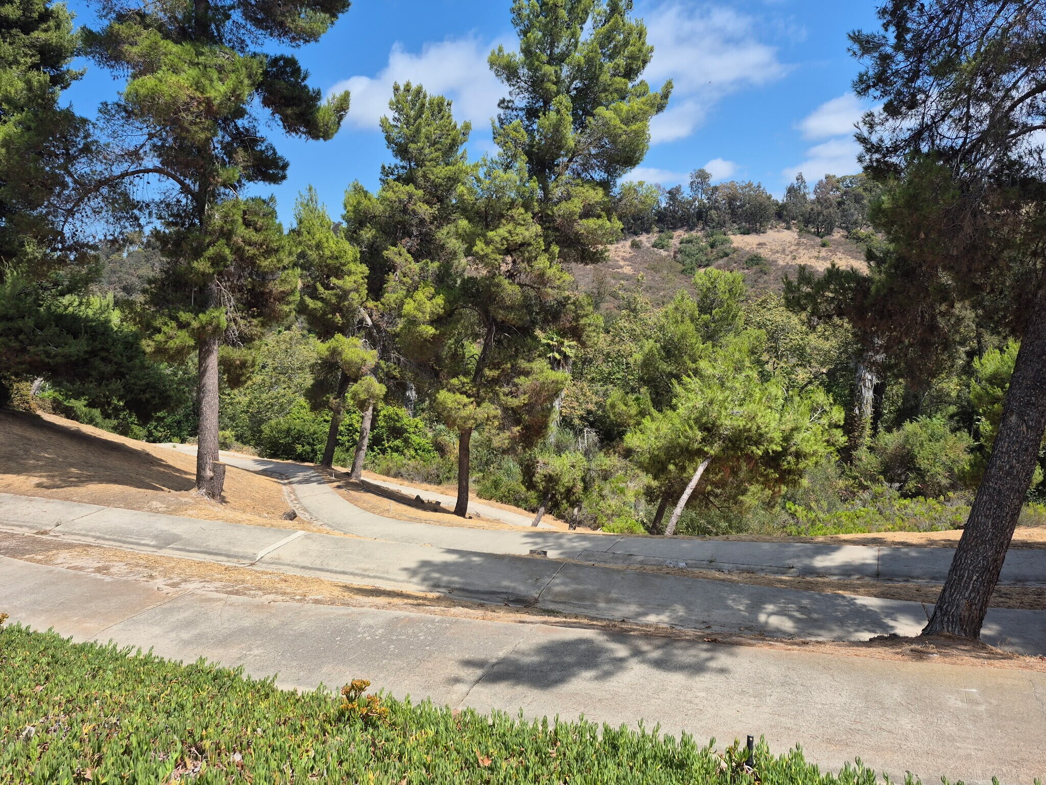 Building Photo - 5244 Edge Park Way