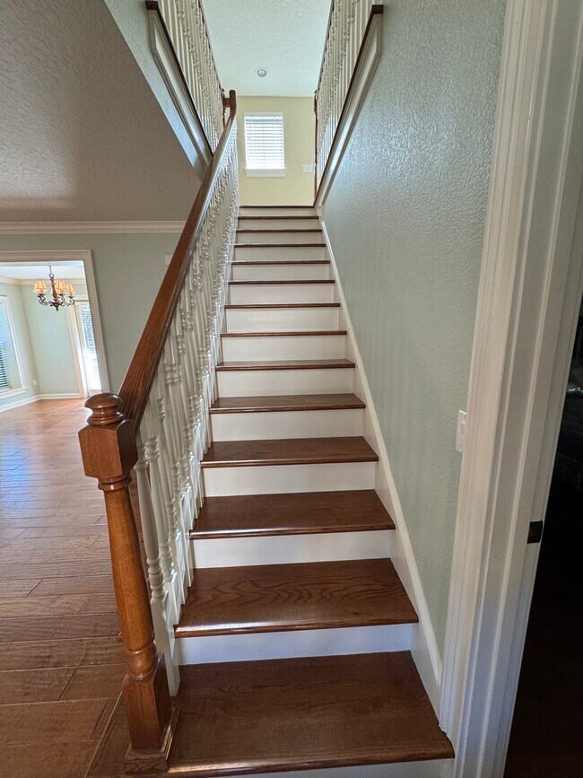 Building Photo - 31536 Soaring Hawk Ln