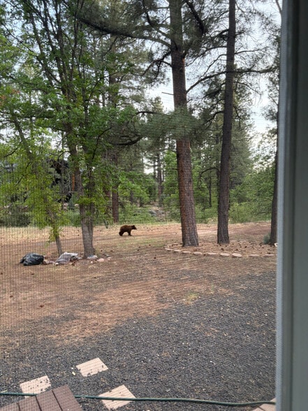 Building Photo - 1249 W Apache Ln