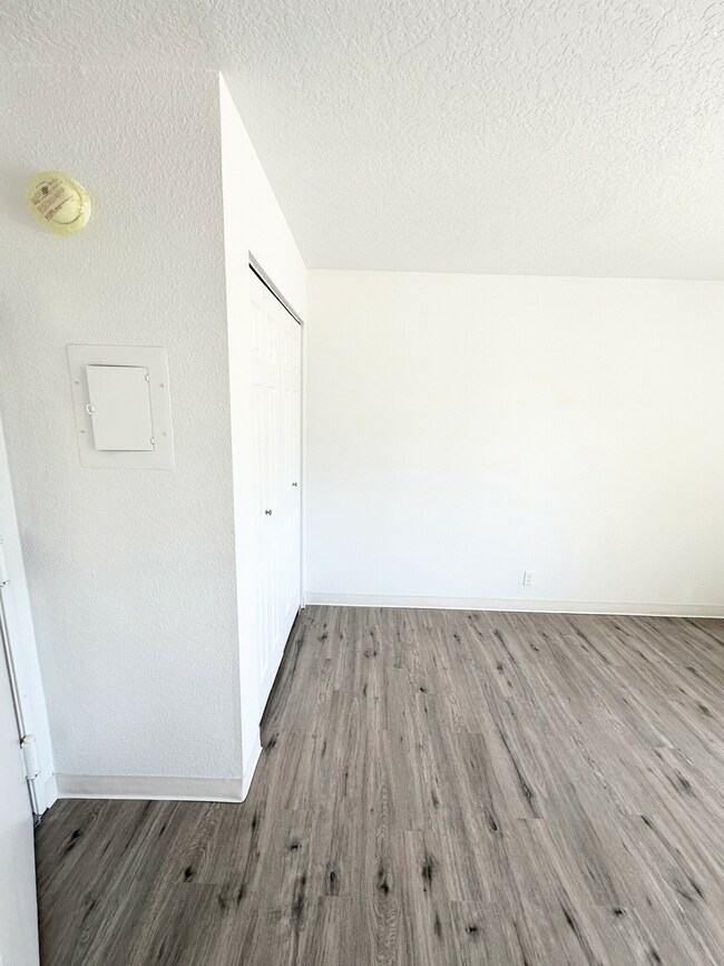 Studio Living.jpg - White Pine