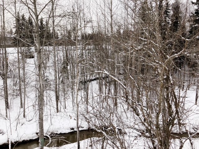 Building Photo - COMING SOON Creekside Views! 1 Bedroom Wes...