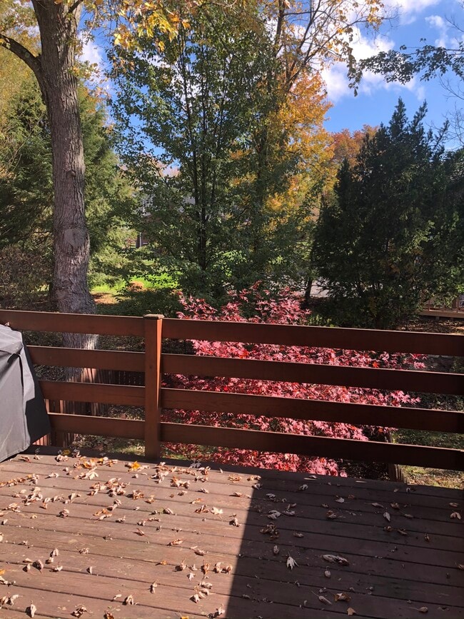 View from deck - 3199 Camberly Dr