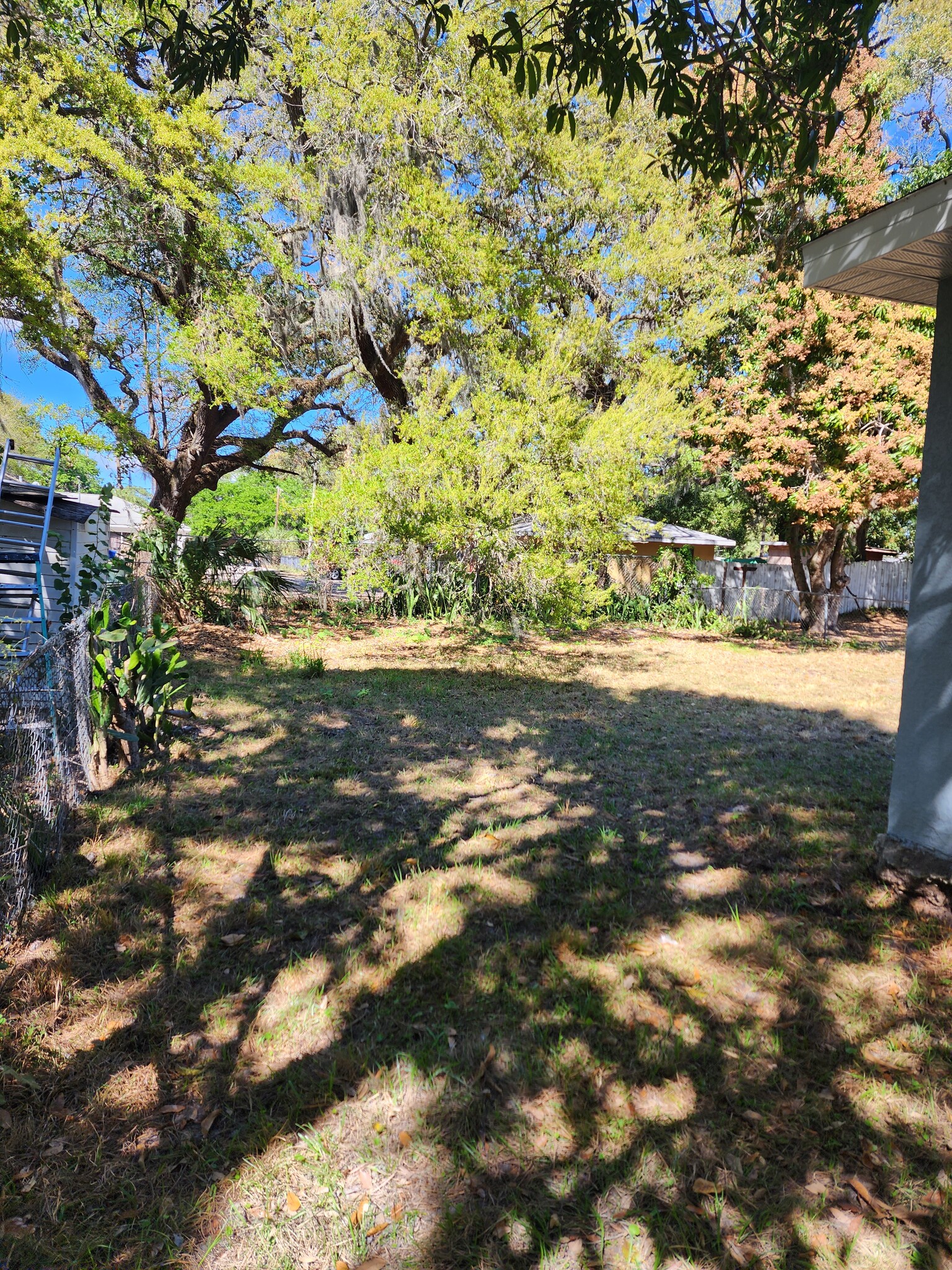 BIG BACK YARD-FENCED - 325 11th Ave E