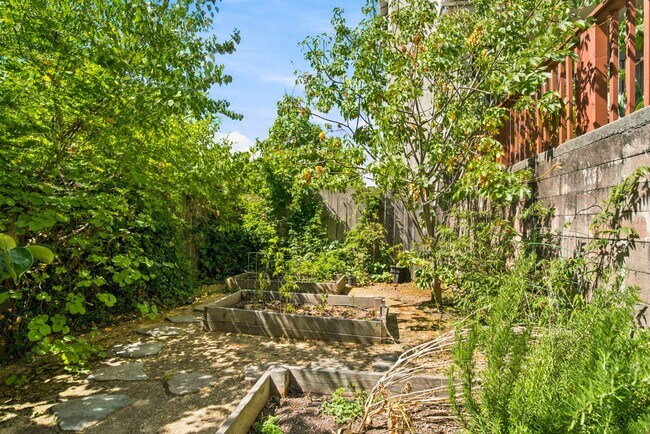Building Photo - Sun-Drenched Lakeshore Living