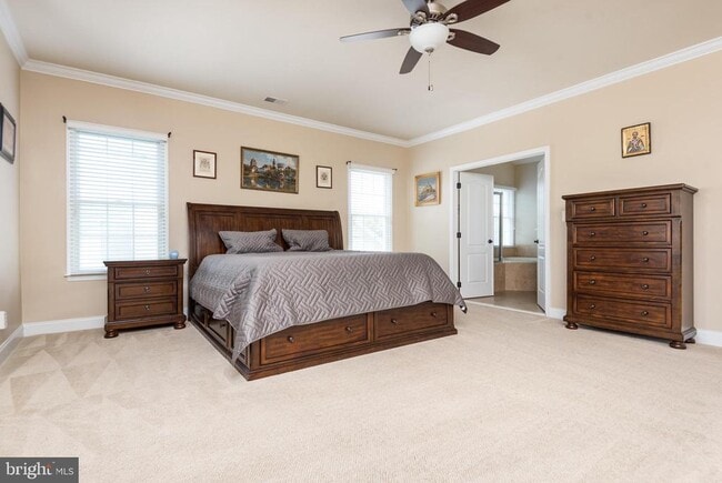 Building Photo - 5737 Waterloo Bridge Cir