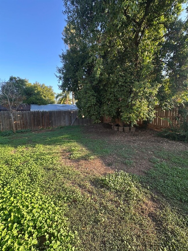 Building Photo - 440 N Homsy Ave