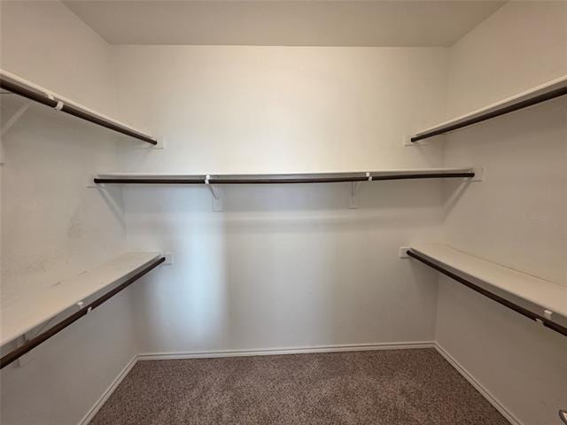 Building Photo - 717 Gannet Trl