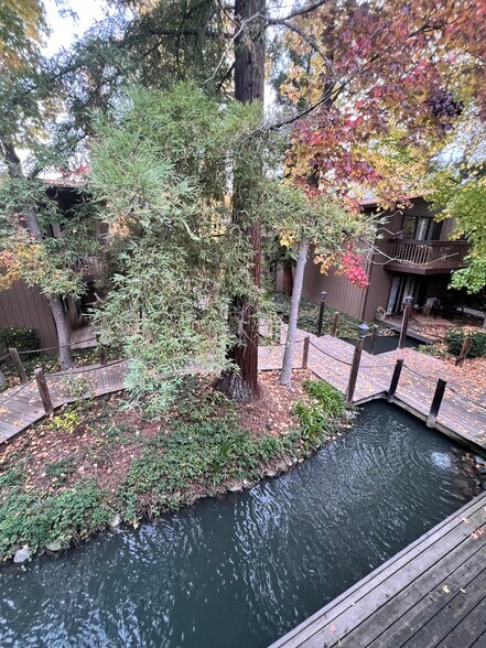 View from deck - 911 Fulton Ave