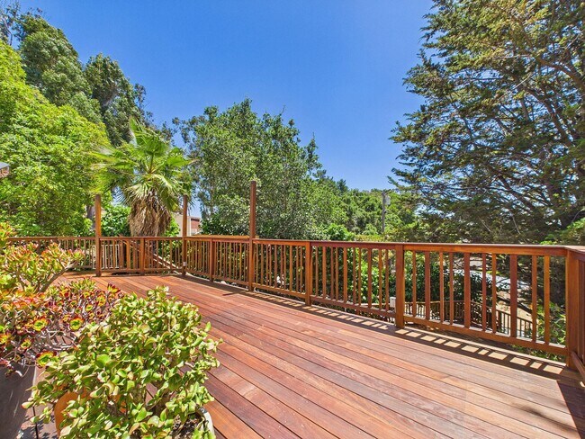 Building Photo - Beautiful serene and private Belmont home