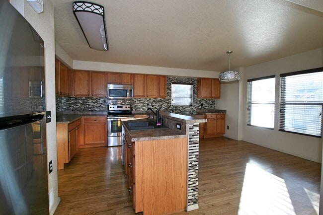 Building Photo - Stunning 4 Bedroom Home in Indigo Ranch!