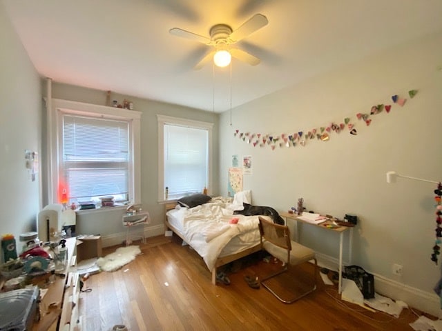 Building Photo - 11 Babcock St